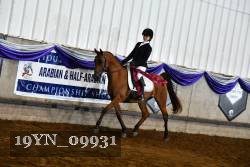 19YN_09931 thumbnail