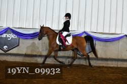 19YN_09932 thumbnail