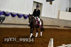 19YN_09934 thumbnail