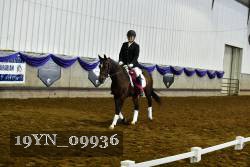 19YN_09936 thumbnail