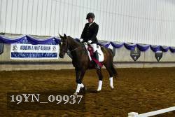 19YN_09937 thumbnail