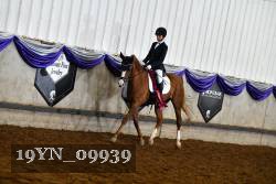 19YN_09939 thumbnail