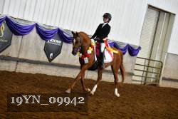 19YN_09942 thumbnail