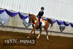 19YN_09943 thumbnail