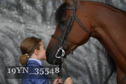 19YN_35548 thumbnail