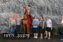 19YN_35579 thumbnail