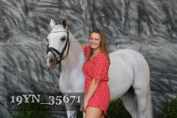 19YN_35671 thumbnail