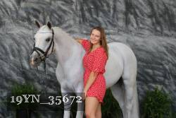 19YN_35672 thumbnail