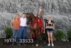 19YN_33533 thumbnail