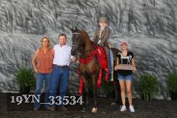 19YN_33534 thumbnail