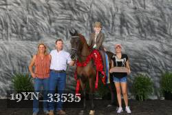 19YN_33535 thumbnail