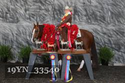 19YN_33540 thumbnail