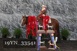 19YN_33541 thumbnail