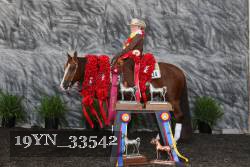 19YN_33542 thumbnail