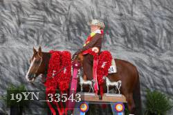 19YN_33543 thumbnail