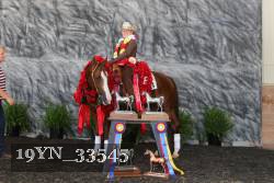 19YN_33545 thumbnail