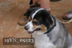 19YN_09123 thumbnail