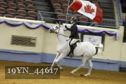 19YN_44617 thumbnail