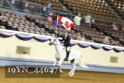 19YN_44627 thumbnail