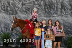 19YN_42823 thumbnail
