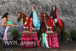19YN_42905 thumbnail