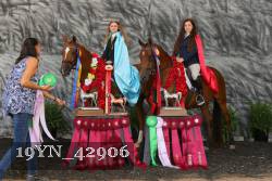 19YN_42906 thumbnail