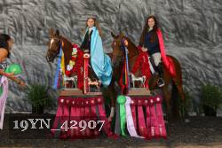 19YN_42907 thumbnail
