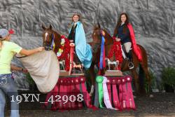 19YN_42908 thumbnail