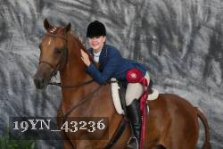 19YN_43236 thumbnail