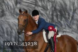 19YN_43238 thumbnail