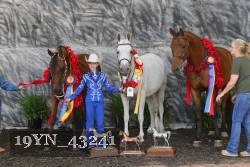 19YN_43241 thumbnail