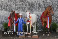 19YN_43242 thumbnail