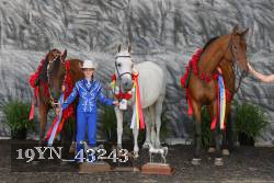 19YN_43243 thumbnail