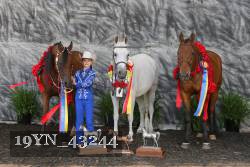 19YN_43244 thumbnail