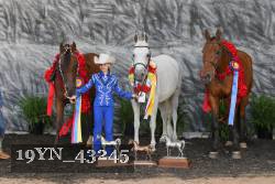 19YN_43245 thumbnail