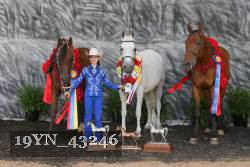 19YN_43246 thumbnail