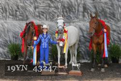 19YN_43247 thumbnail