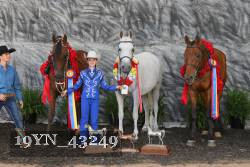 19YN_43249 thumbnail