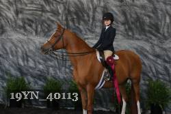 19YN_40113 thumbnail