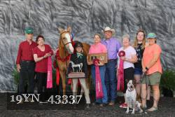 19YN_43337 thumbnail