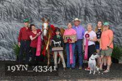 19YN_43341 thumbnail