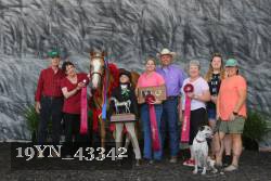 19YN_43342 thumbnail