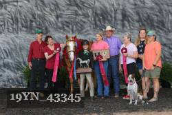 19YN_43345 thumbnail