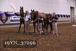 19YN_37296 thumbnail
