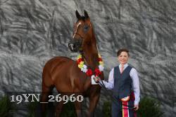19YN_26960 thumbnail