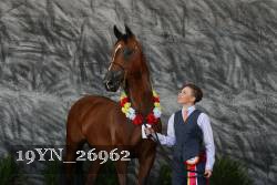 19YN_26962 thumbnail