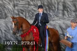19YN_27241 thumbnail