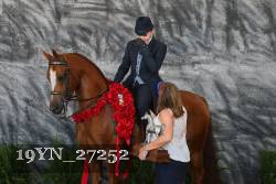 19YN_27252 thumbnail