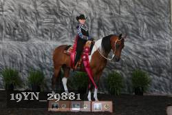 19YN_29881 thumbnail