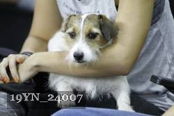 19YN_24007 thumbnail